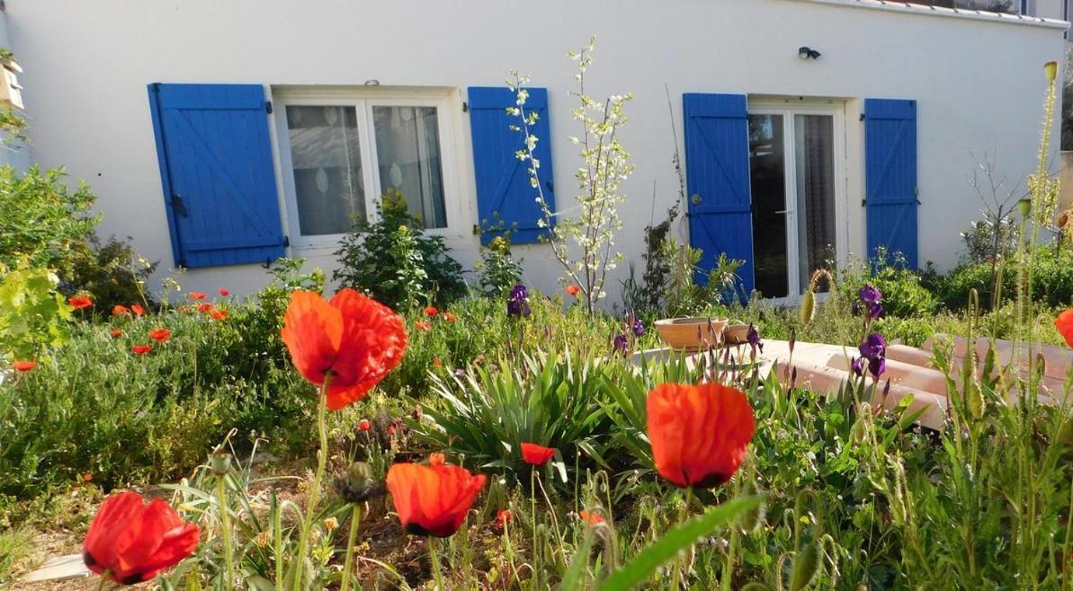 Maisonnette De Jardin 马赛 外观 照片