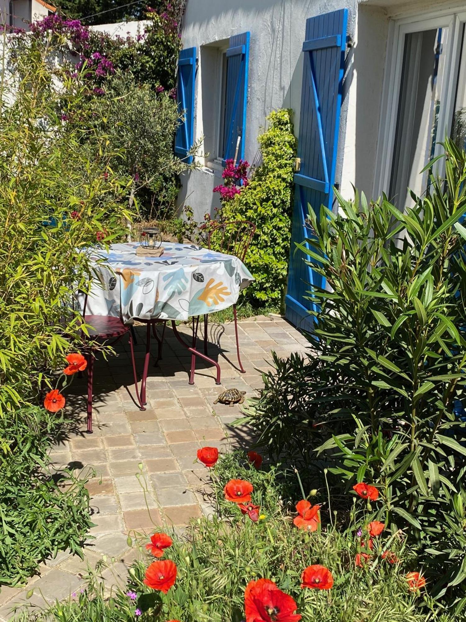 Maisonnette De Jardin 马赛 外观 照片