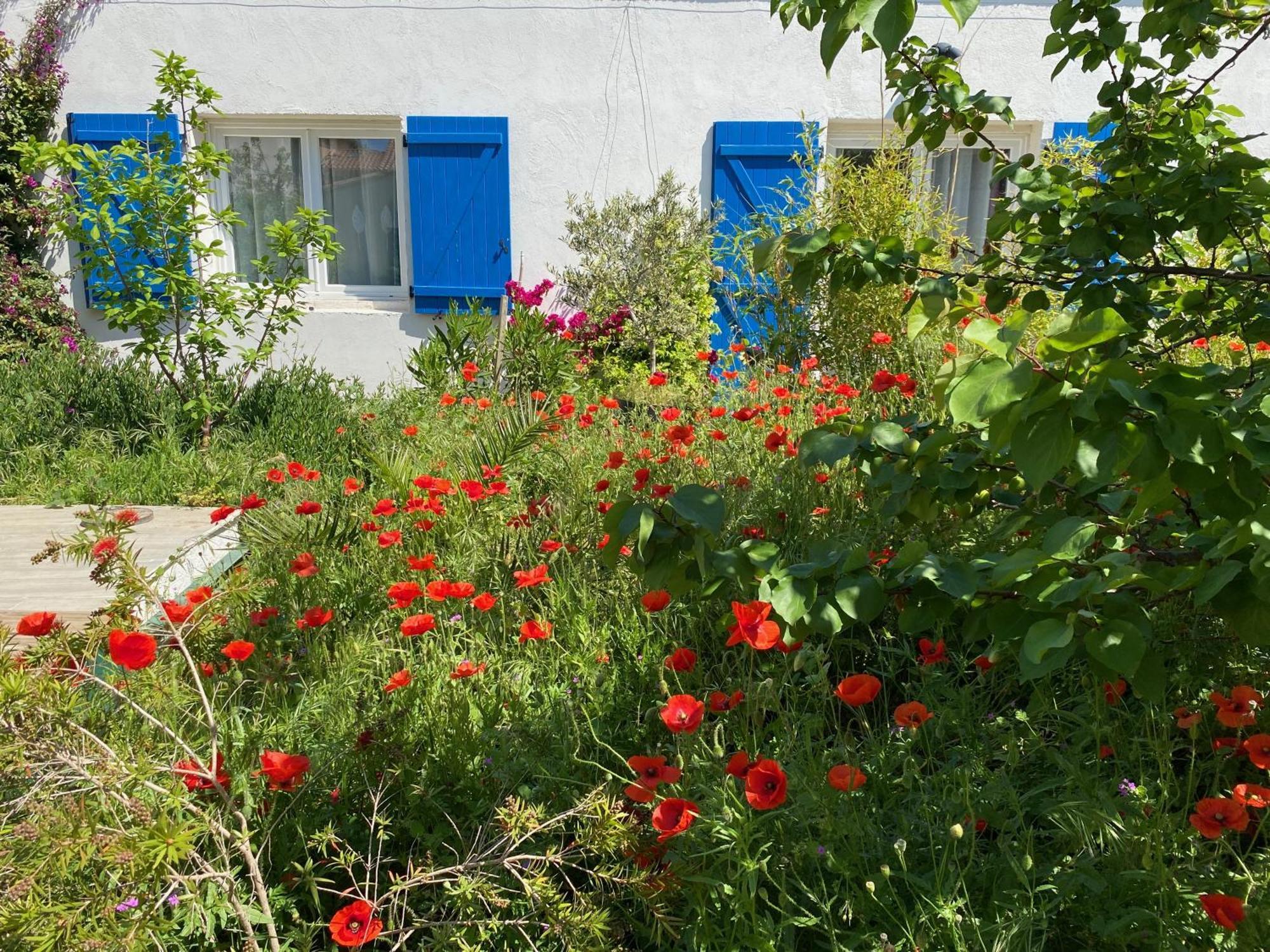 Maisonnette De Jardin 马赛 外观 照片